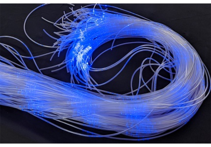 hvost_blue_1096193682